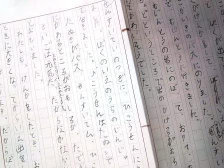 夏休みの宿題 ようやく読書感想文に取りかかりました 子供と私のジグザグ日記